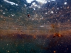 g10_23762615