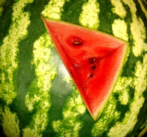 sandia