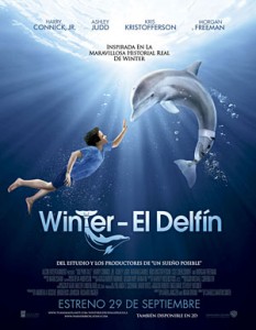 WinterDelfin
