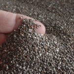 semillas-de-chia Chia y sus beneficios