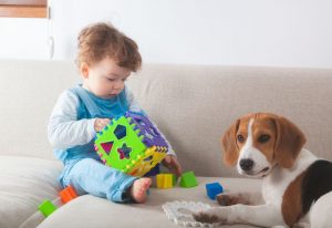 Beneficios de las terapias con los perros