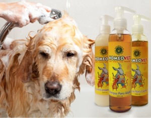 Higiene para mascotas Homeovet®: Cuida la piel y pelaje de tu mascota con activos 100%naturales