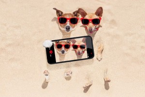 Consejos para sacar las mejores fotos en días soleados
