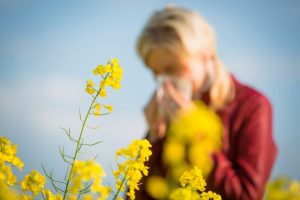 Off al “modo” alergia