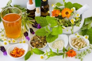 Beneficios que aportan las plantas medicinales