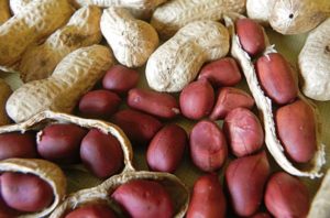 Beneficios del consumo de la cáscara de cacahuete