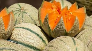 El melón una fruta muy versátil para la salud