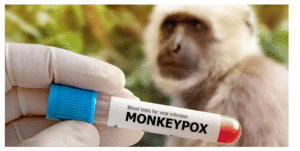 Científicos lograron aislar virus que provoca la viruela del mono