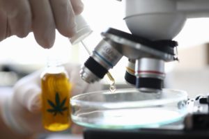 Cannabis para tratar el dolor: ¿realidad o mito?