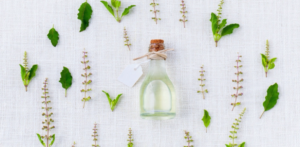 Aromaterapia: Fórmulas y métodos para extraer aceites esenciales