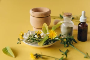 Alivio del dolor con plantas medicinales: una alternativa natural