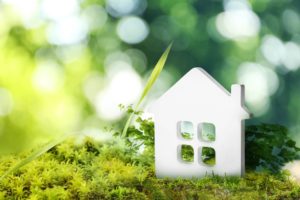 6 ideas de decoración para un hogar sostenible: equilibrio entre estilo y responsabilidad ambiental