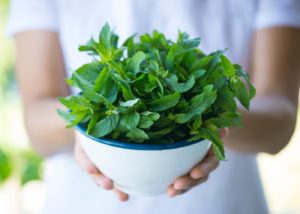 Por qué deberías plantar menta en tu casa para tener buena suerte en 2025
